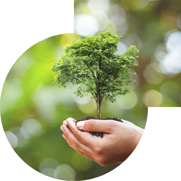 關懷人類、文化、環境與社會