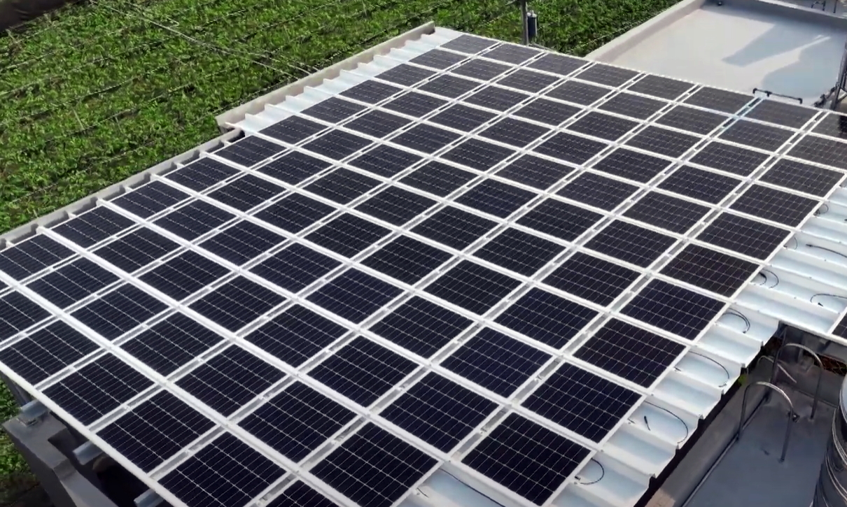 hth·华体SunSteel光电浪板升级双玻结构，以提升机械负载强度及气候耐候度，可广泛运用于多元场域