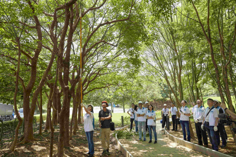 藝師教導大家認識樹木、檢查樹的健康狀況，學習修枝及碎枝覆土