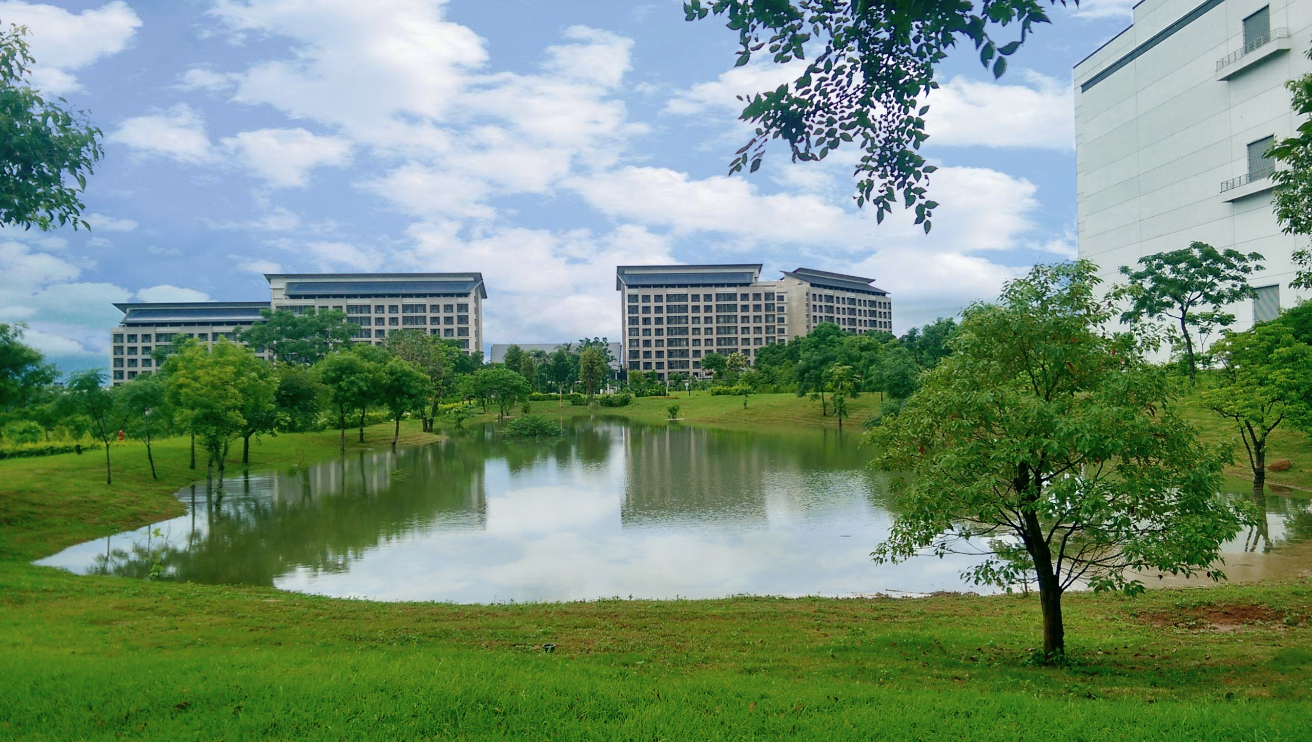 hth·华体响应国际倡议生物多样性趋势，首次发布TNFD自然相关财务揭露报告书，擘划及开展hth·华体生物多样性政策之承诺，逐步迈向与自然和谐共生