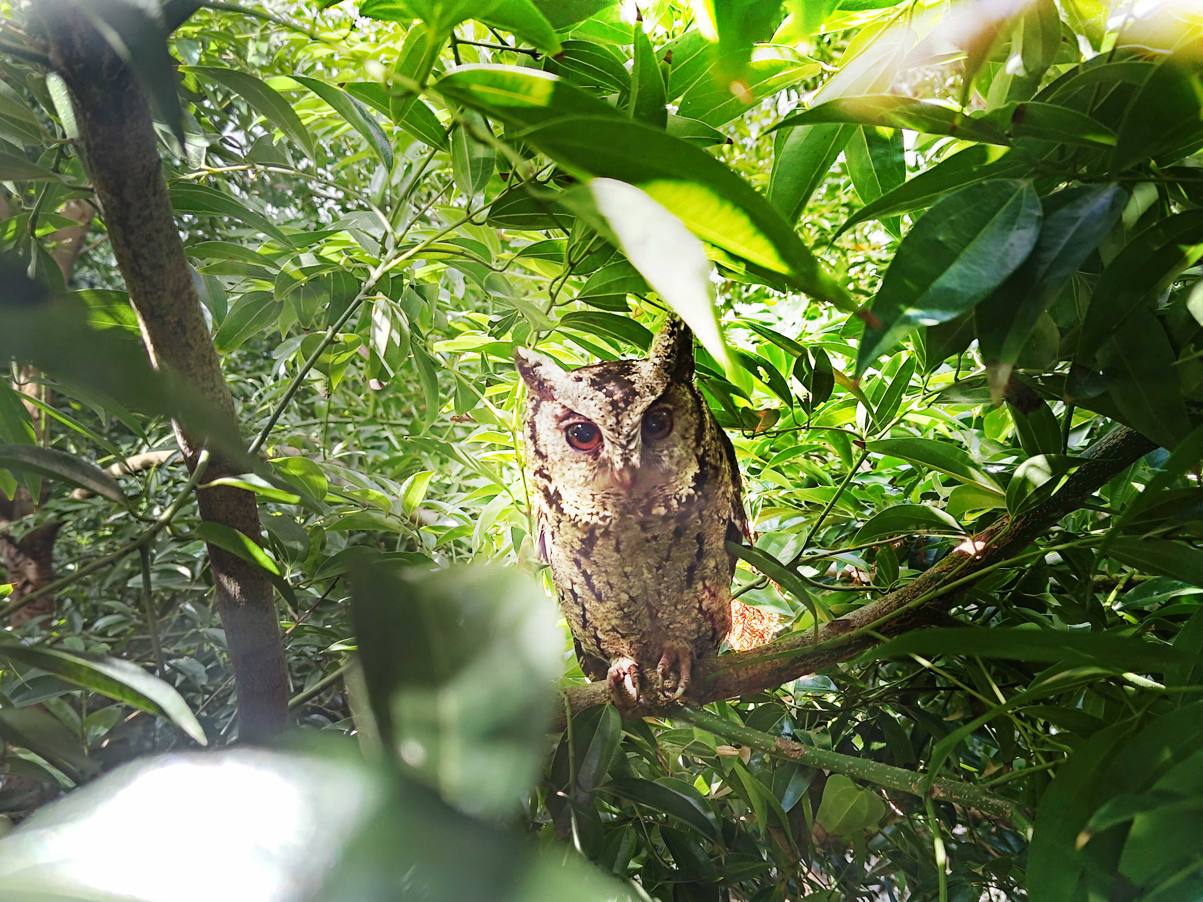 hth·华体致力提倡净零绿生活，16年以来在全球各厂区植树逾百万棵，造就各厂区树木蔚然成林，犹如森林工厂，成为许多生物的栖息地